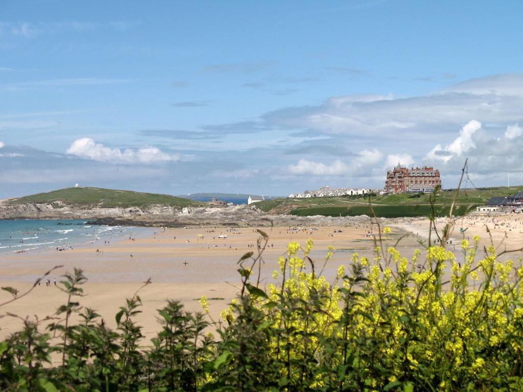 Cormorant House Bed & Breakfast New Quay Exterior foto
